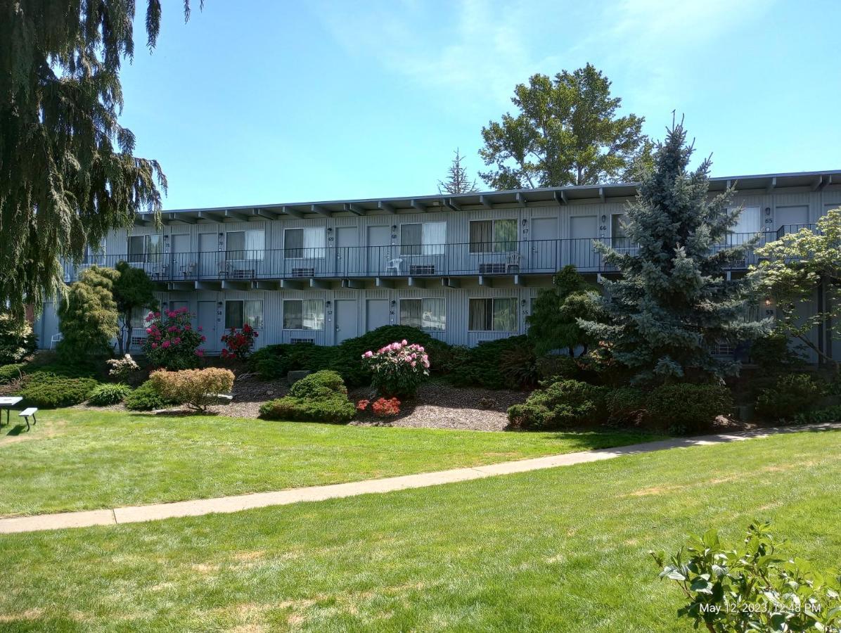 ברלינגטון Cocusa Motel מראה חיצוני תמונה
