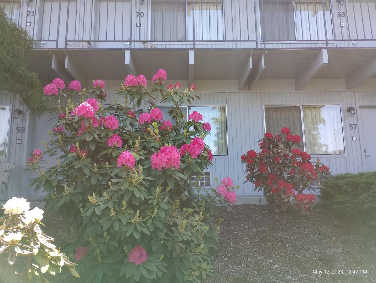 ברלינגטון Cocusa Motel מראה חיצוני תמונה